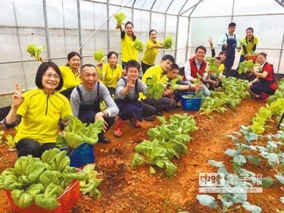 [中時電子報]採收蔬菜 愛心家園學員好樂