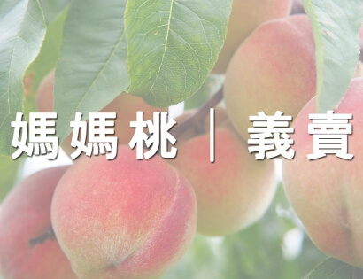 媽媽桃義賣